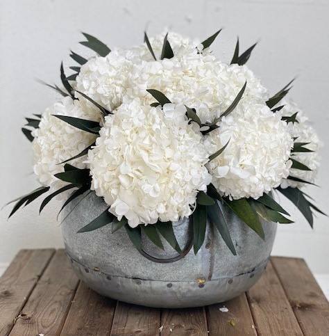 Hammered Bowl Hydrangea